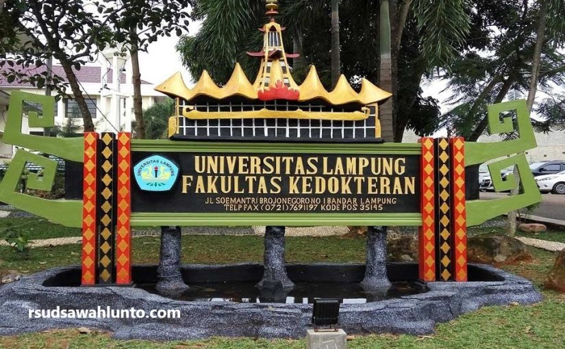 5 Daftar Universitas Lampung Terbaik 2023 Versi UniRank