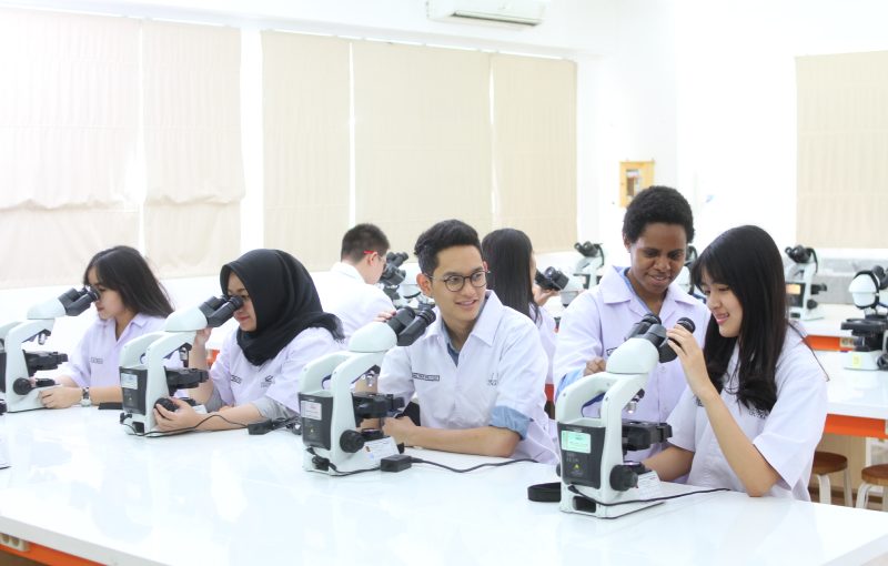 Jurusan Kuliah Yang Lulusannya Di Butuhkan Di Masa Depan